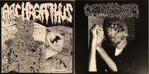 Archagathus : Archagathus - Cystoblastosis